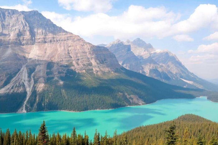 5-day Tour of Banff and Calgary